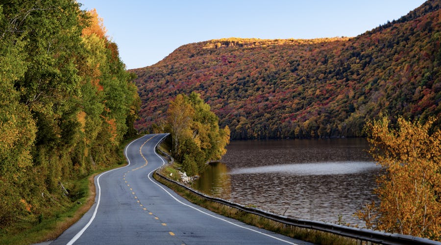 fall foliage new hampshire1.png